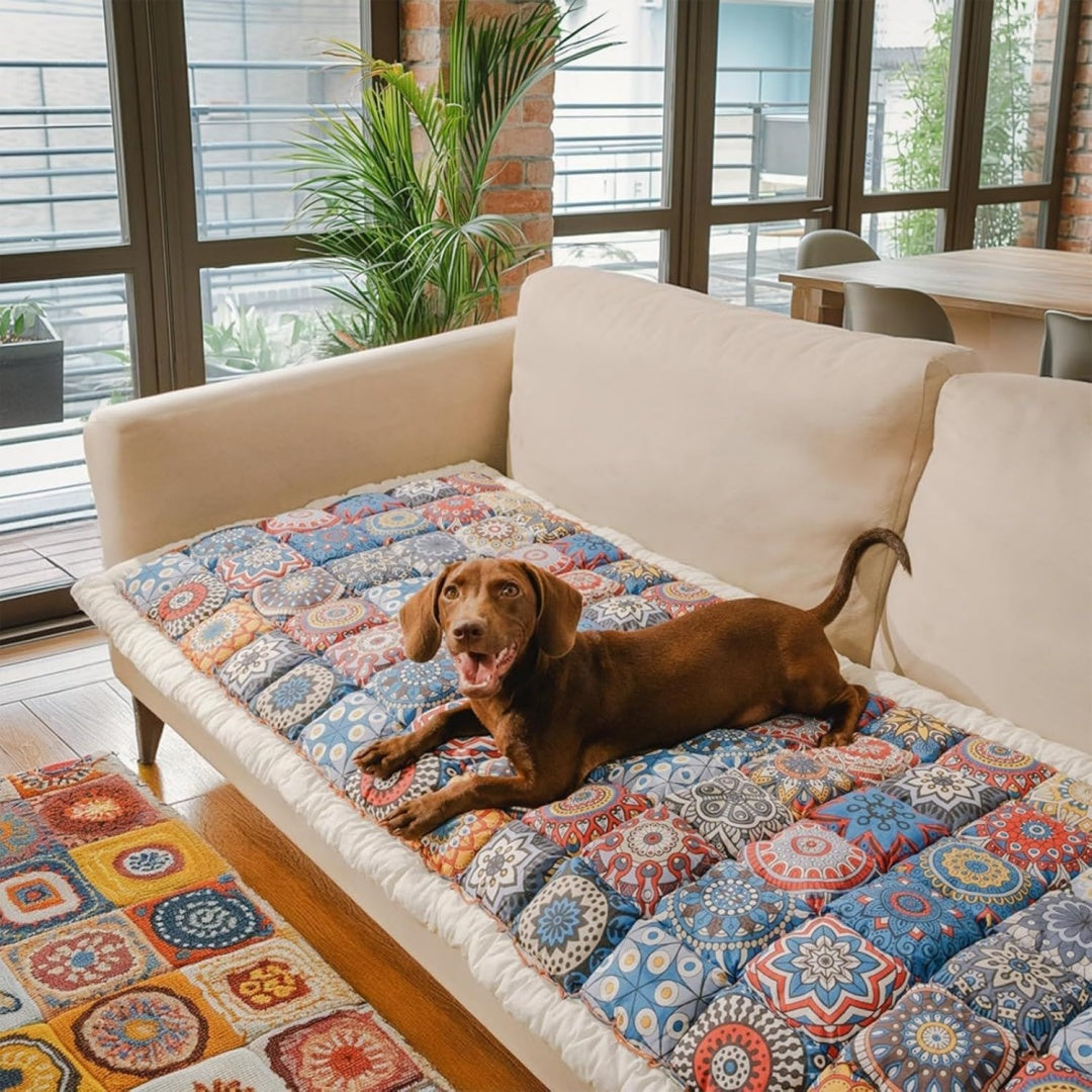 Divano confortevole FUNNY FUZZY Copridivano animali domestici, blu